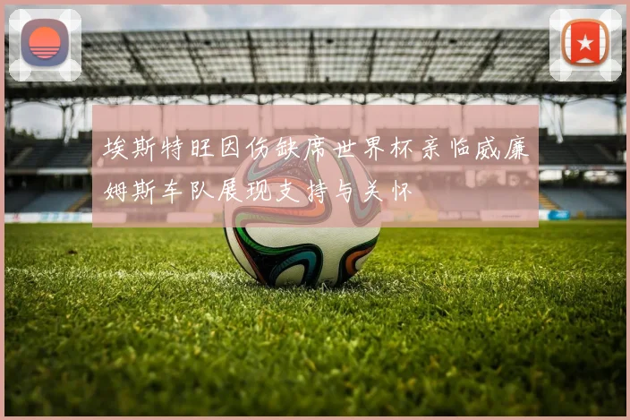 埃斯特旺因伤缺席世界杯亲临威廉姆斯车队展现支持与关怀